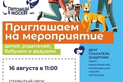 "Друг, спасатель, защитник": 16 августа в Отрадном пройдет открытый урок по дрессировке собак